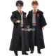 Harry Potter a Tajemná komnata Hermiona Granger