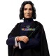 Harry Potter a Tajemná komnata Profesor Snape