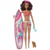 Barbie surfařka s doplňky